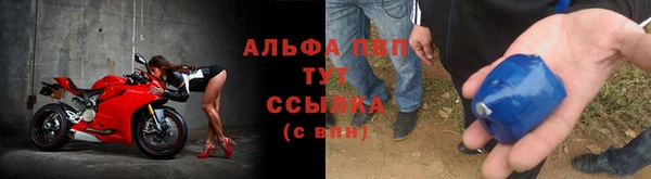 гашик Белоозёрский