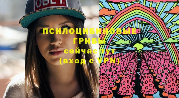 метадон Богородицк