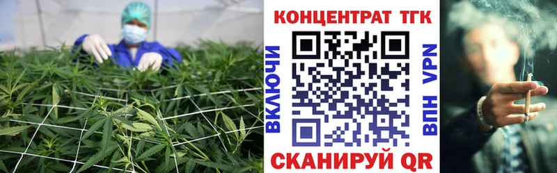 ТГК Wax  Дмитровск 